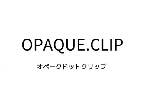 オペークドットクリップの対象年齢、系統、価格帯、通販サイトまとめ