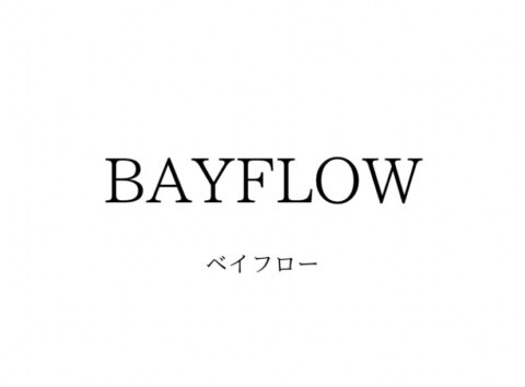 BAYFLOW(ベイフロー)の系統・対象年齢・価格帯・通販サイト一覧