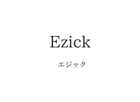 Ezick（エジック）の対象年齢や系統・価格帯や通販サイトまとめ