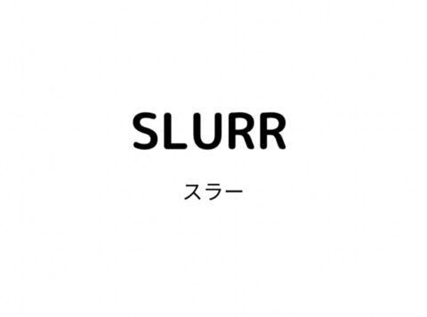 SLURR(スラー)の系統・年齢層・USED品や通販サイトまとめ
